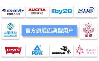 臺(tái)州飛速網(wǎng)絡(luò) 一站式網(wǎng)站建設(shè)、淘寶代運(yùn)營(yíng)與優(yōu)化服務(wù)專(zhuān)家